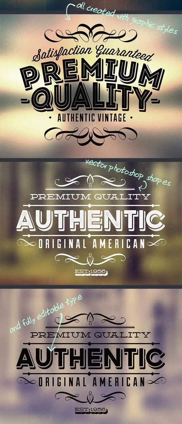 Preimum Vintage Typography Labels 