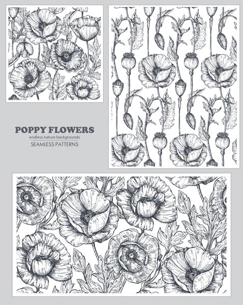 poppy flowers