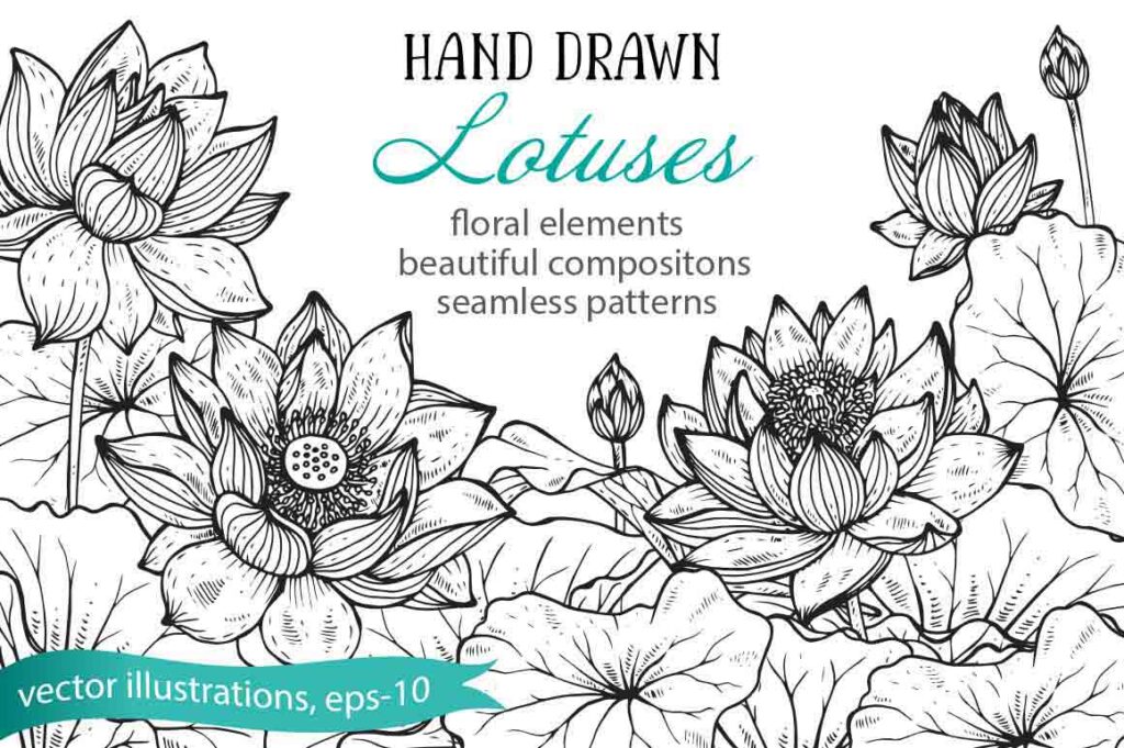 hand-drawn flower vectors