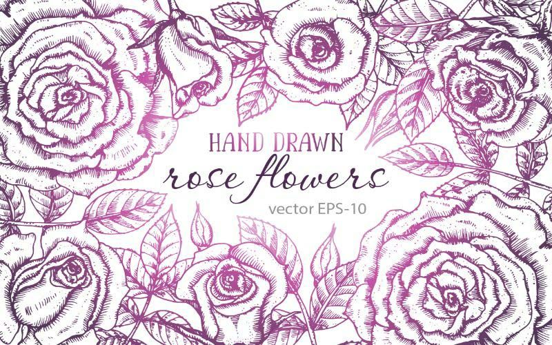 hand drawn roses