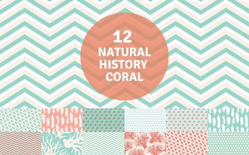 natural history coral patterns collection