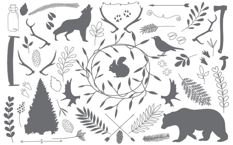 wild life elements illustrations