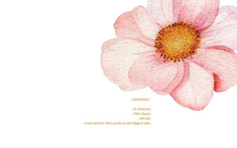 Pink Florals Clipart features