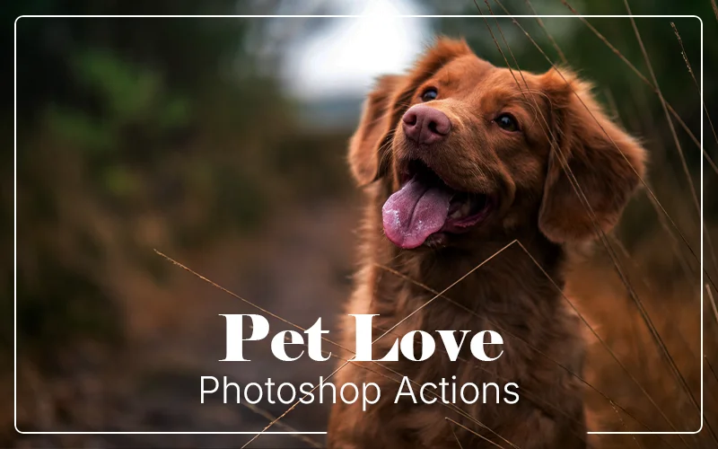 Pet Love Photoshop Actions